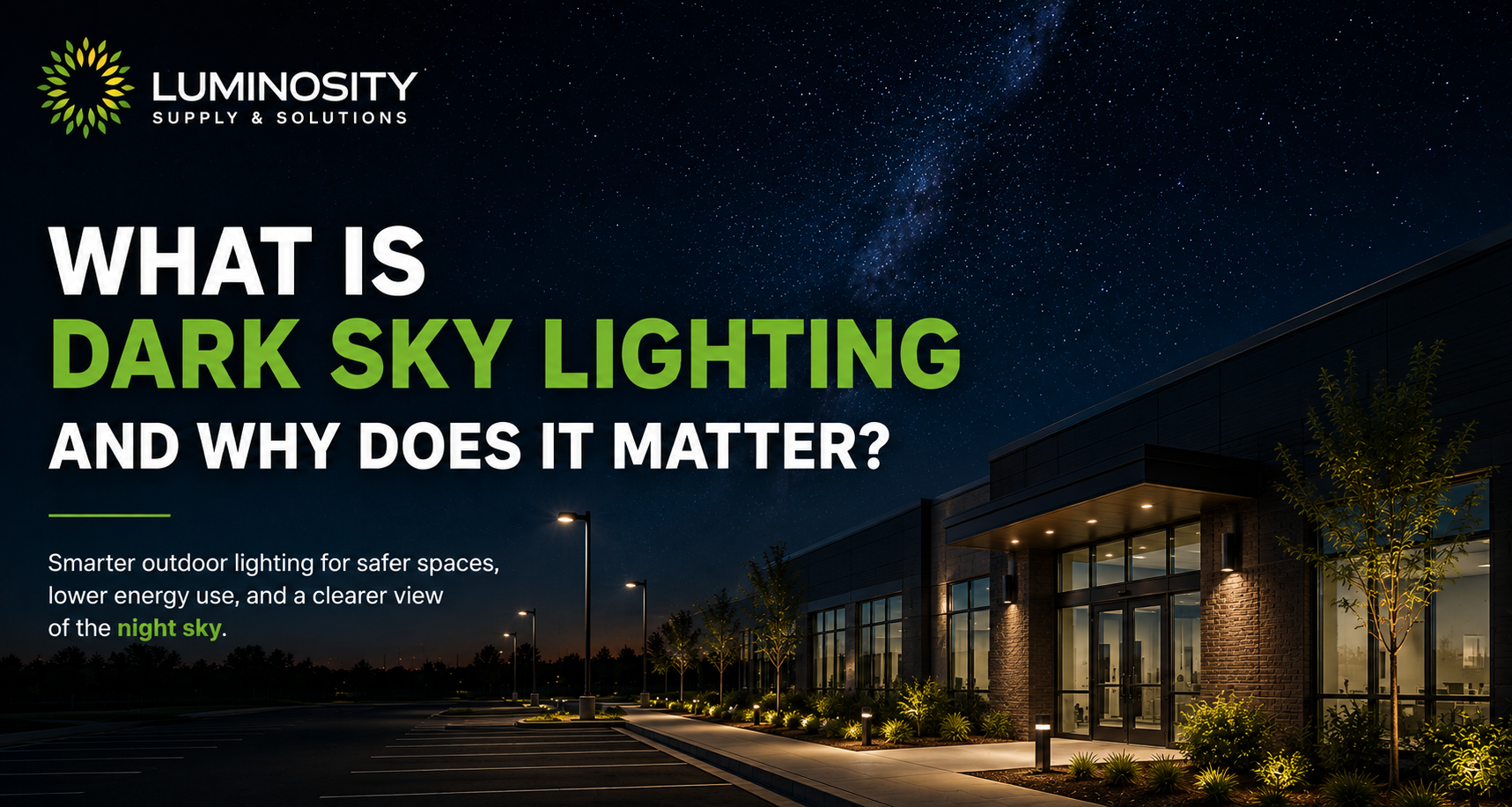 What Is Dark Sky Lighting and Why Does It Matter?