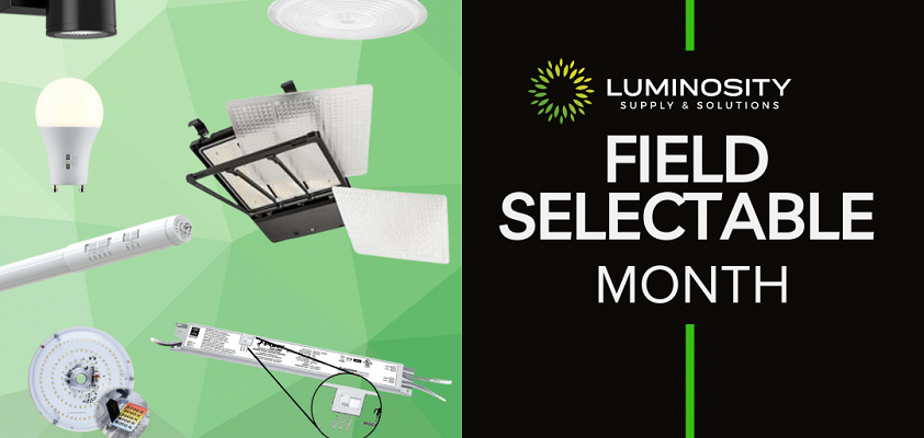 Flexibility at Your Fingertips: The Power of Field Selectable Lighting